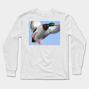 Colours of a Mallard Long Sleeve T-Shirt